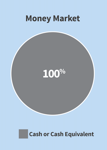 Pie chart for Money Market Option showing allocation of 100 percent cash